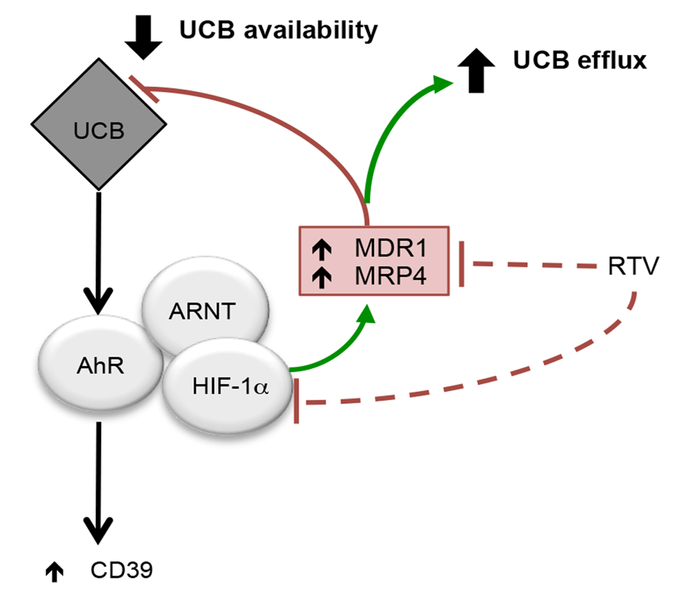 Fig. 8.