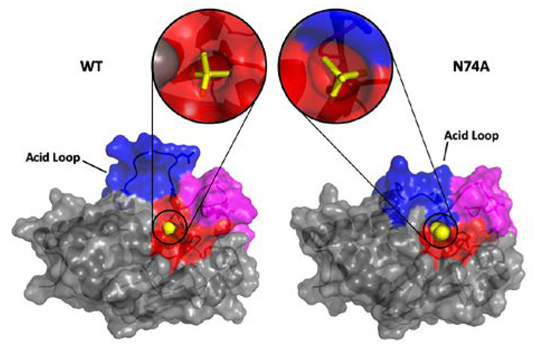 Figure 7.