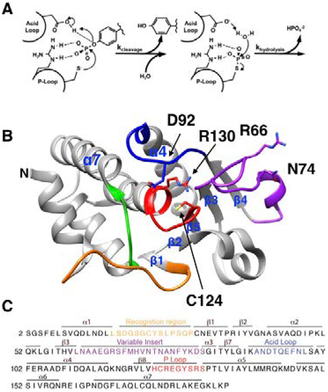 Figure 1: