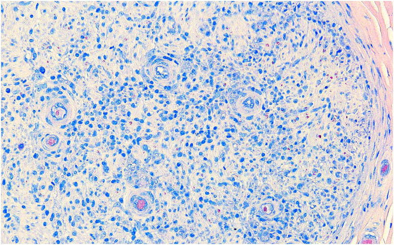 Figure 4.