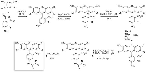 Scheme 3