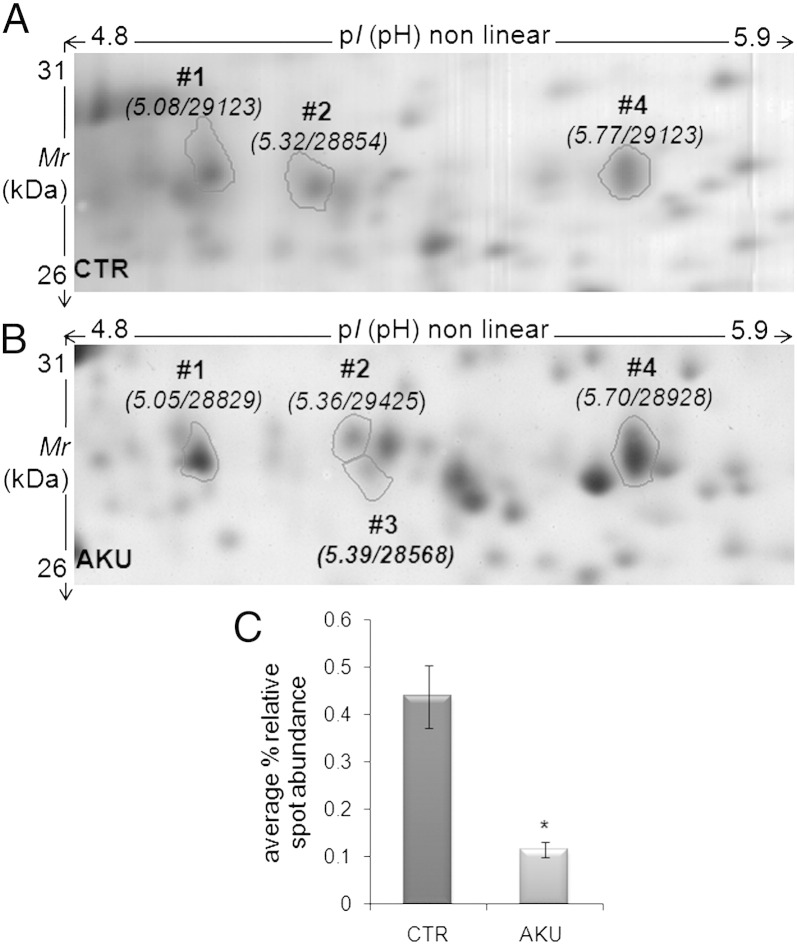 Fig. 7