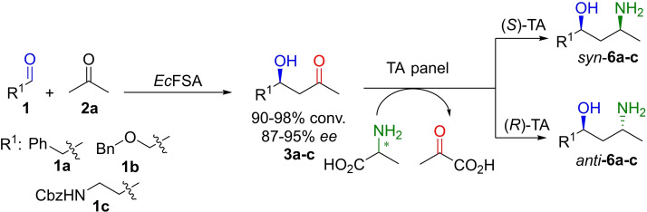 Scheme 3