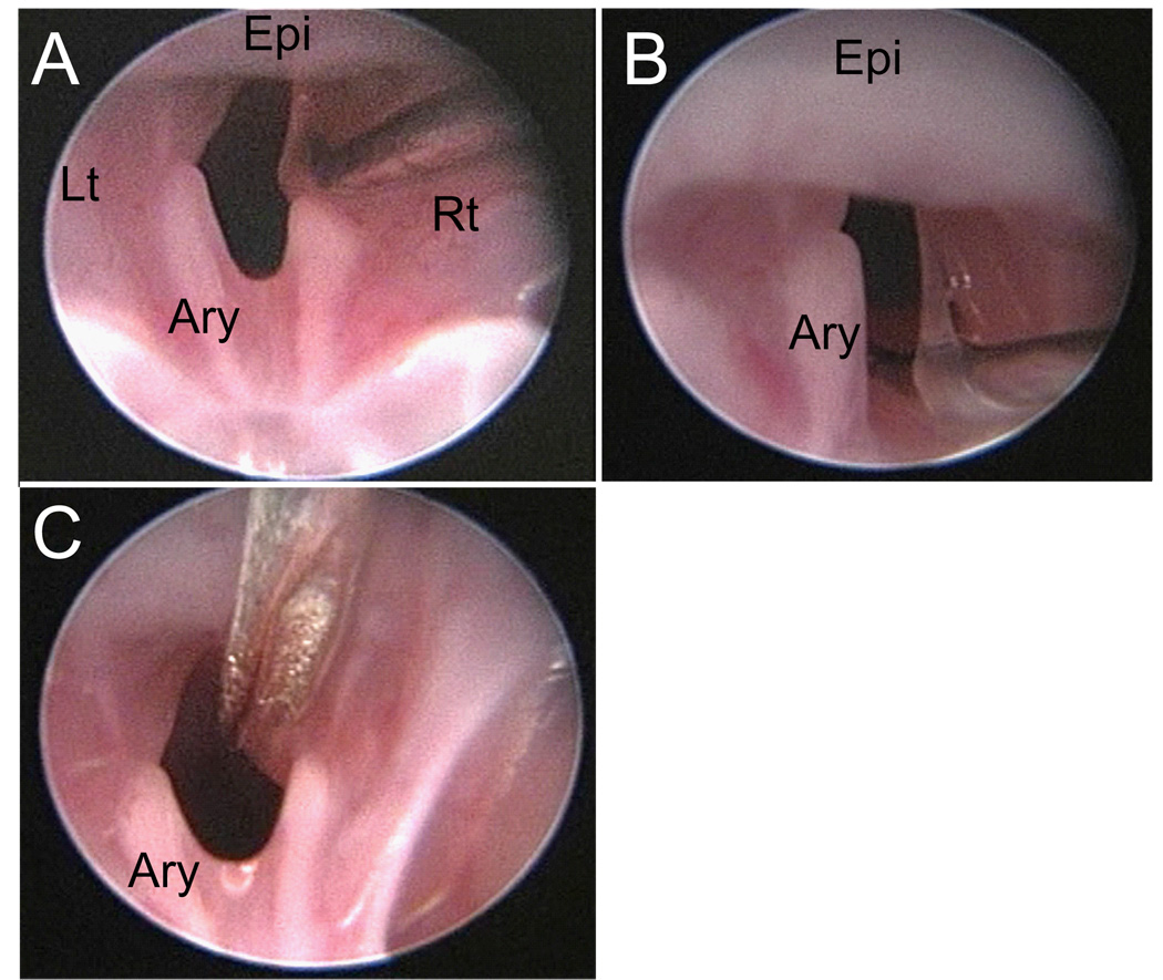 Figure 5