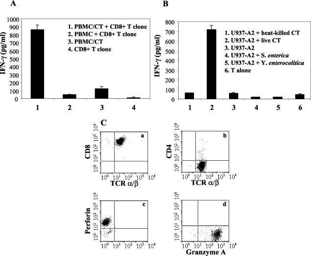 FIG. 1.