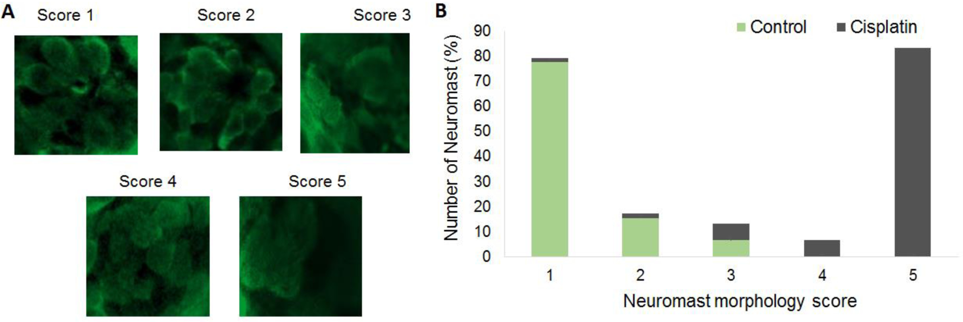 Figure 2: