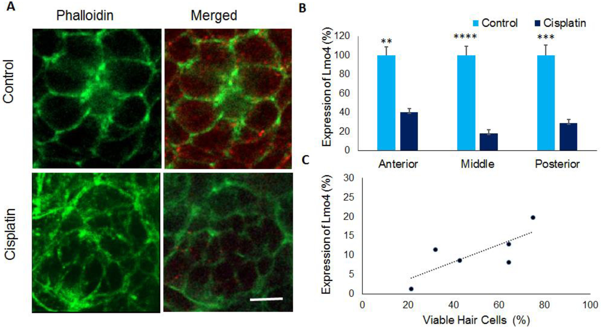 Figure 3: