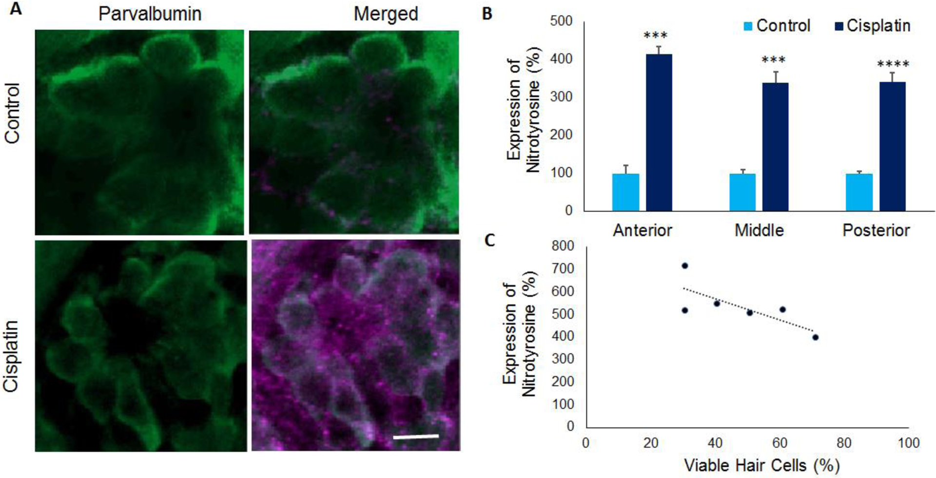 Figure 4: