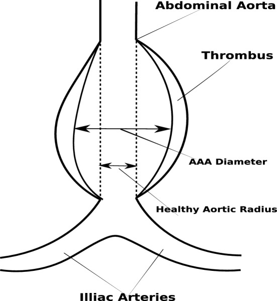 Fig. 5