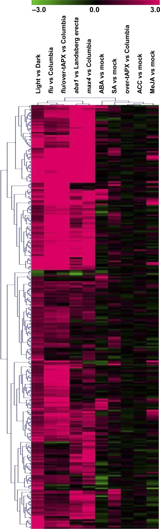 Figure 7.