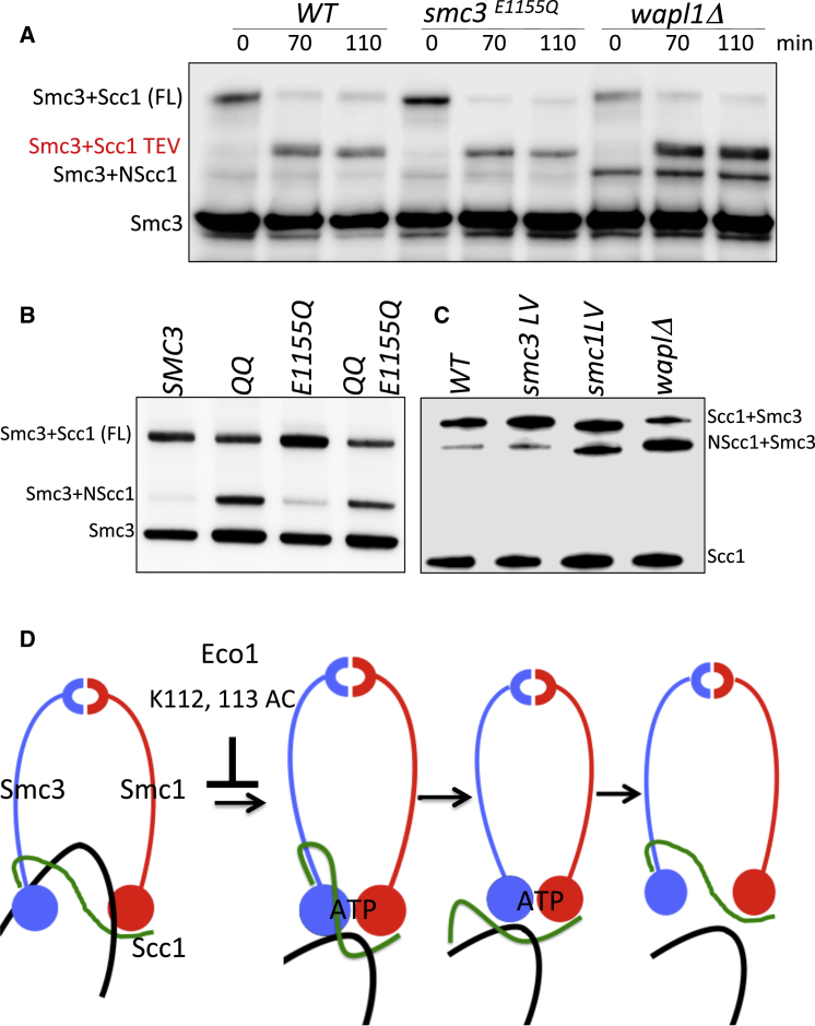 Figure 7