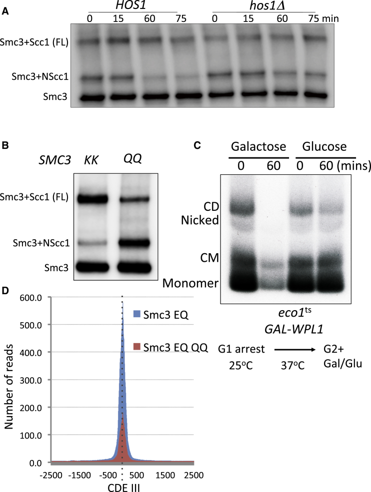 Figure 6