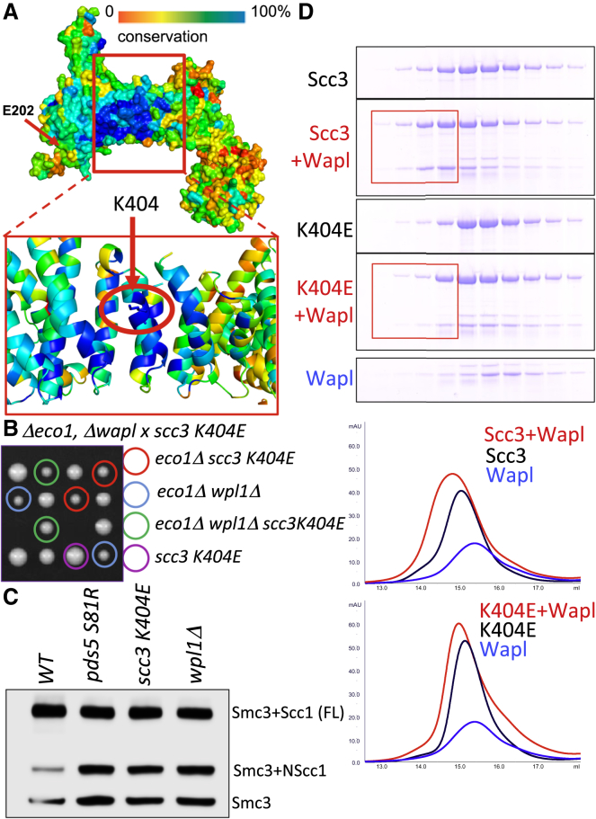 Figure 4