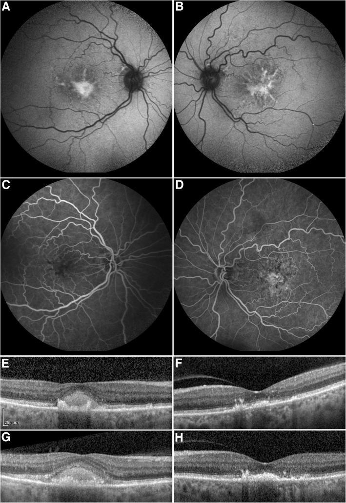 Fig. 4