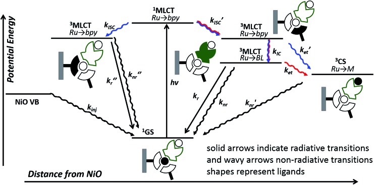 Fig. 11