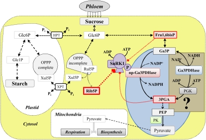 Figure 11.