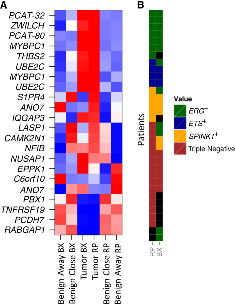 Figure 5