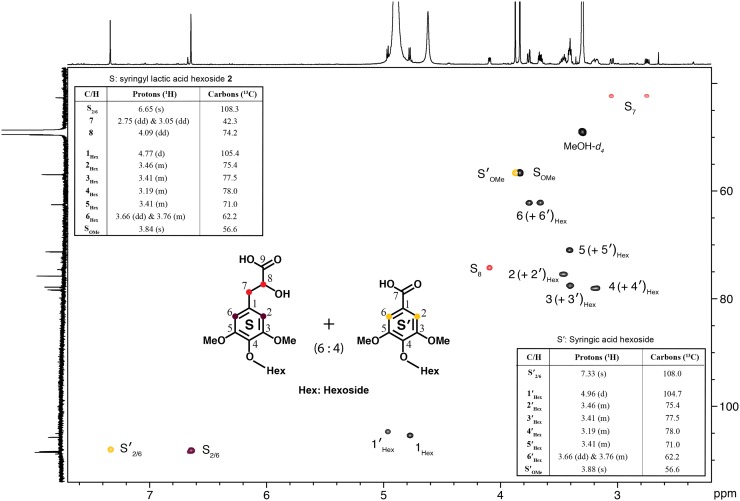 Figure 5.