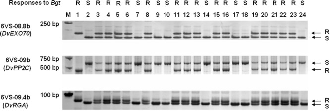 FIGURE 4