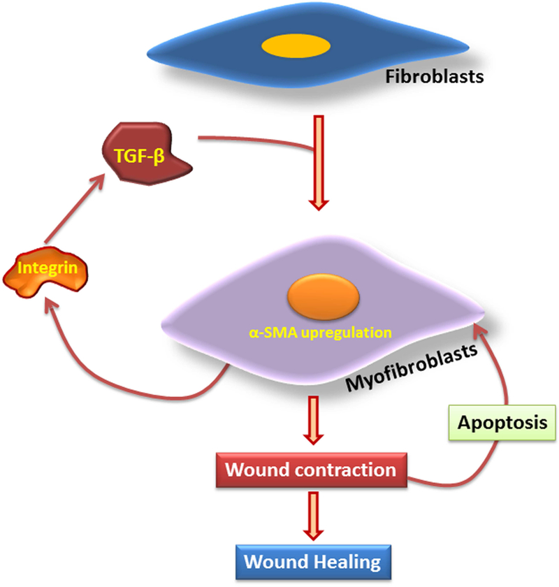 Fig. 4: