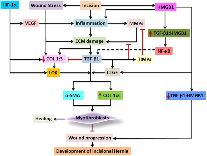 Fig. 3: