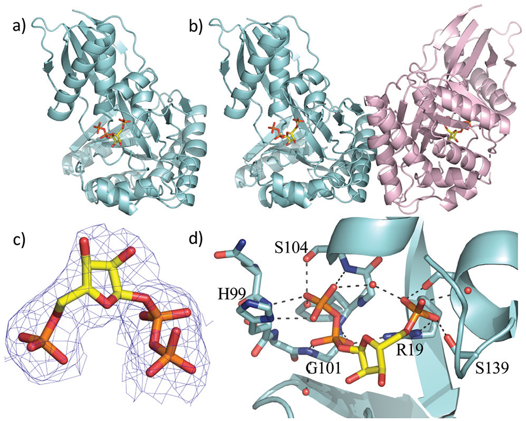 Fig. 2