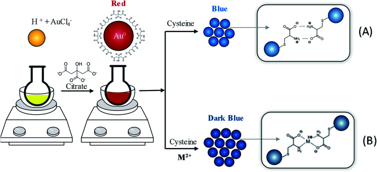 Scheme 1