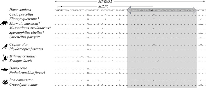 FIGURE 2