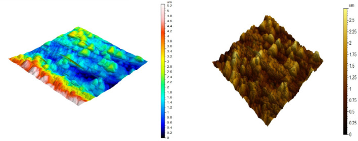 Figure 10