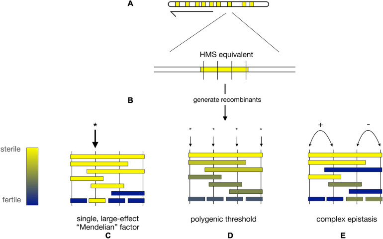 FIGURE 3