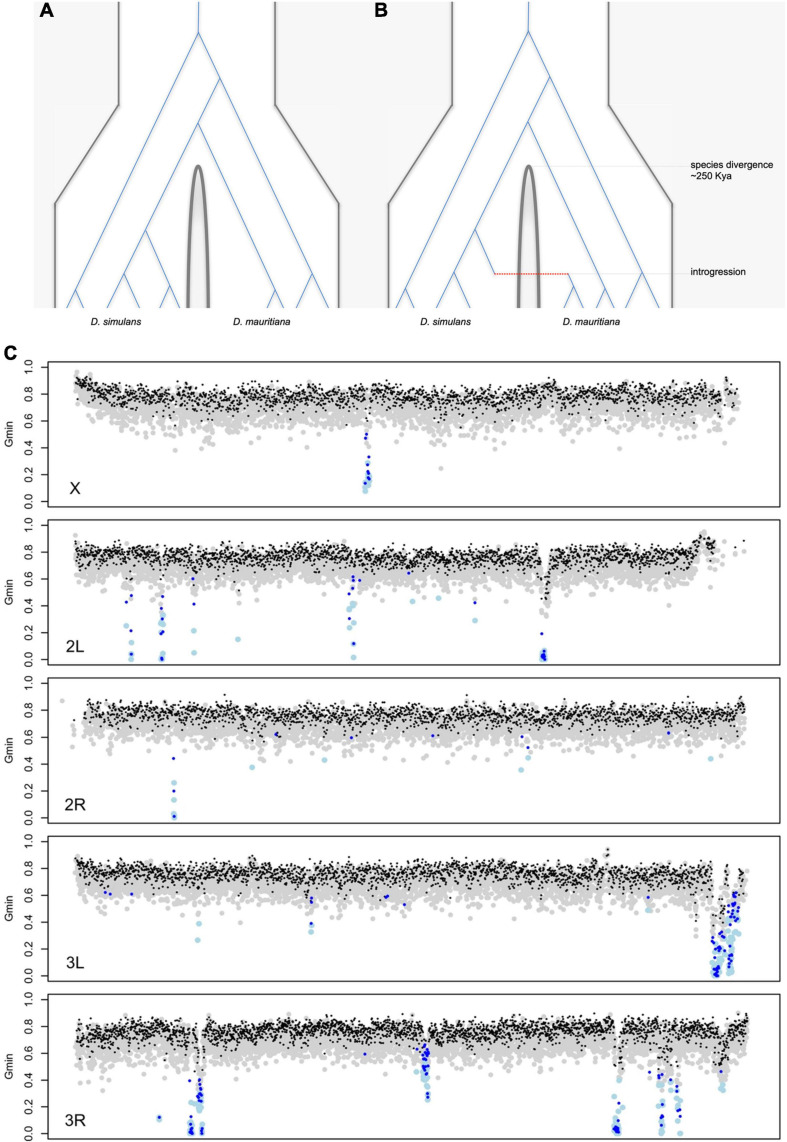 FIGURE 6