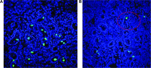 FIG. 7.