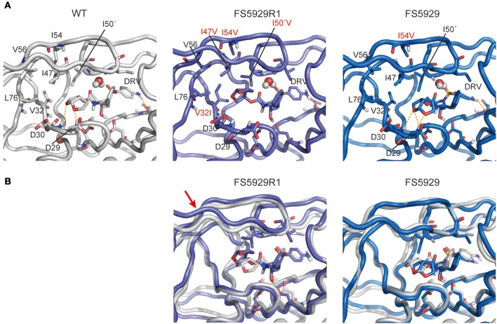 Figure 6