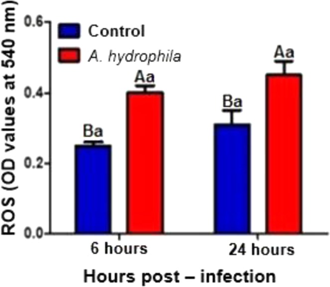 Figure 5