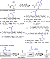 Scheme 5