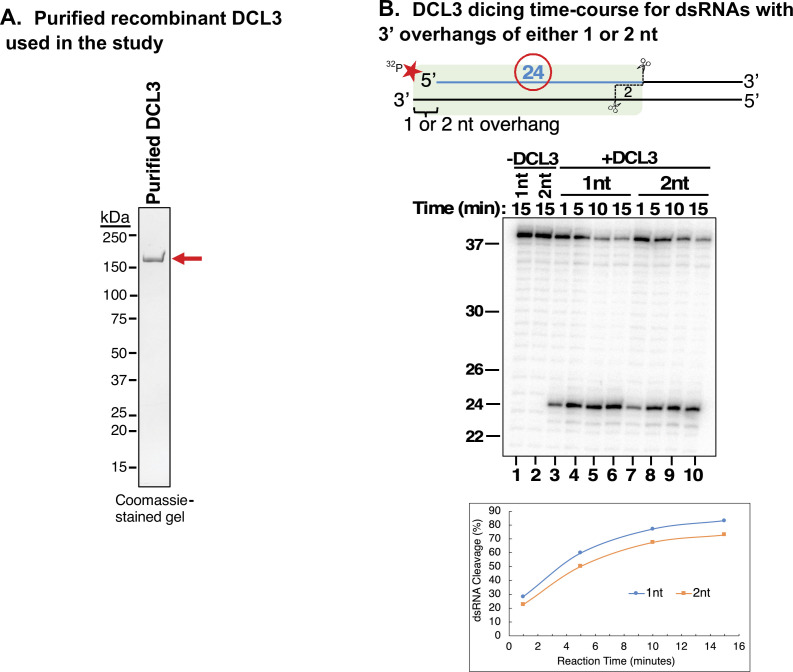 Figure 1—figure supplement 1.