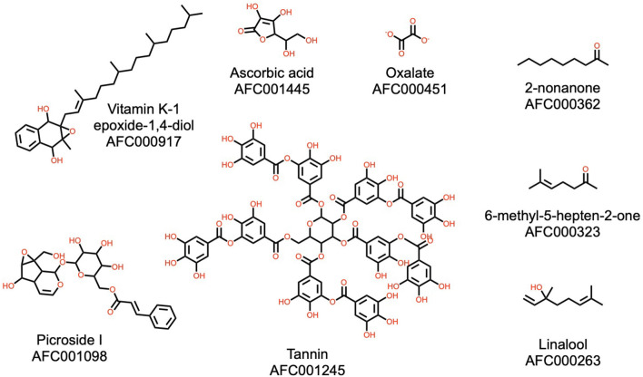 Figure 9