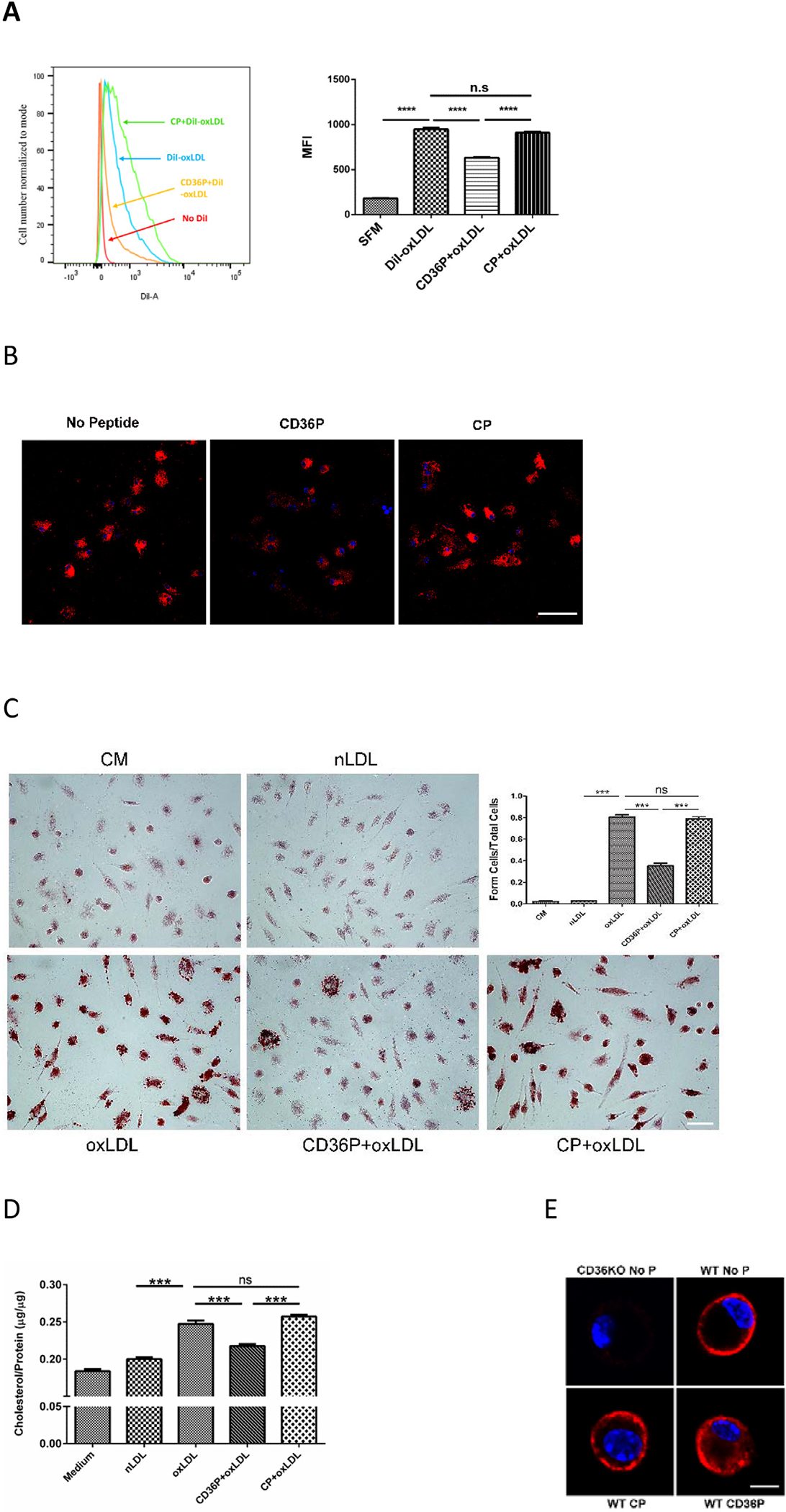 Fig 3.