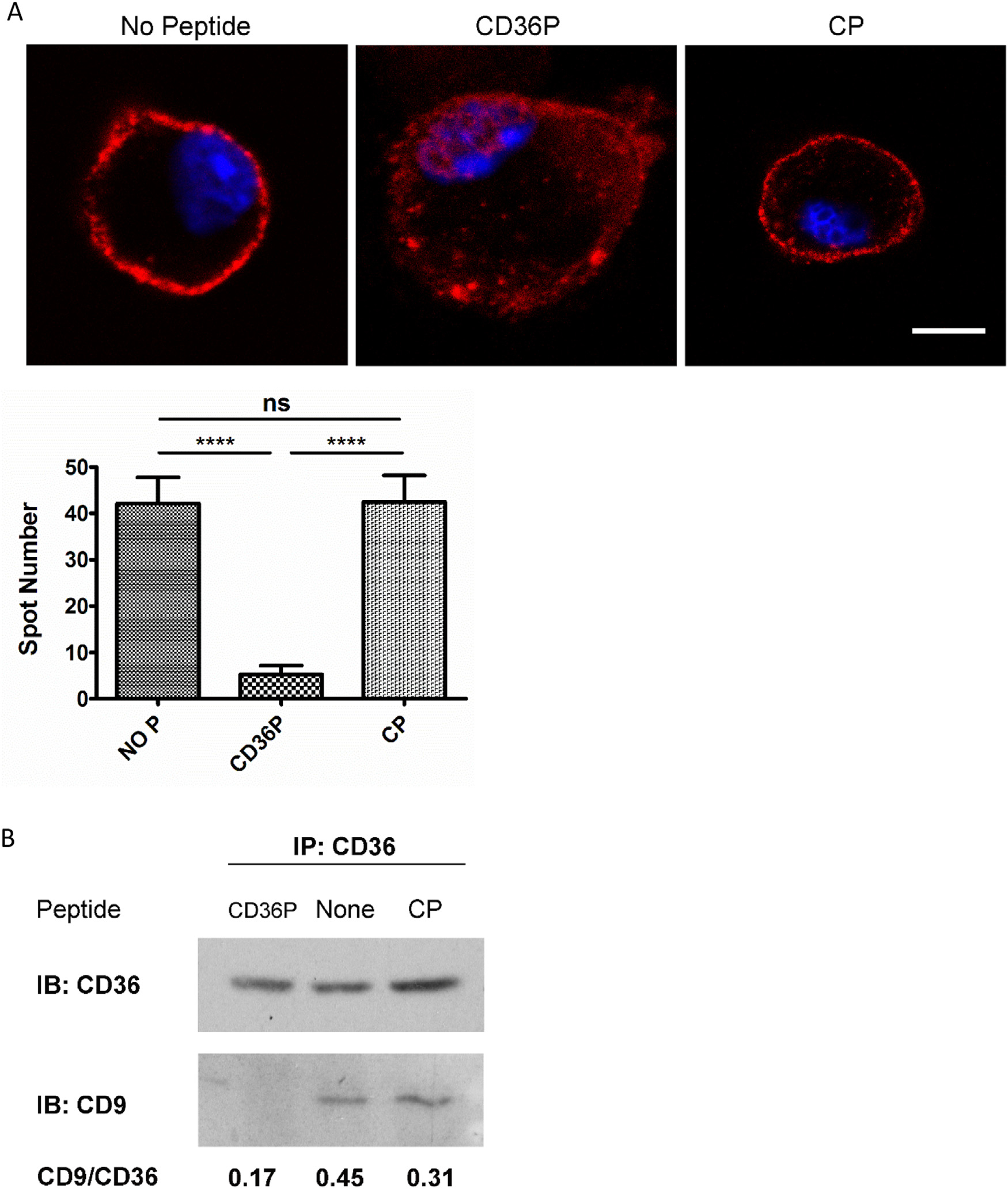 Fig 1.