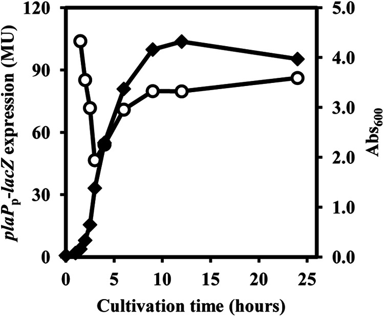 FIGURE 4.