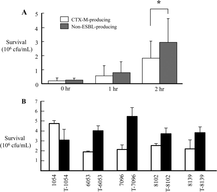 FIG 1