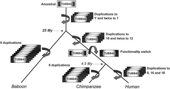 Figure  5