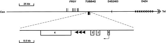 Figure  1