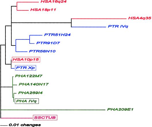 Figure  4