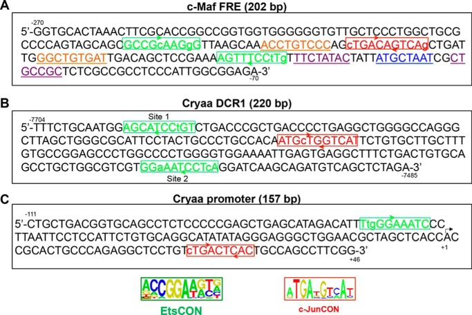 FIGURE 3.