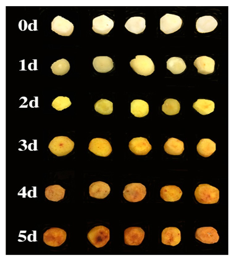 Figure 5