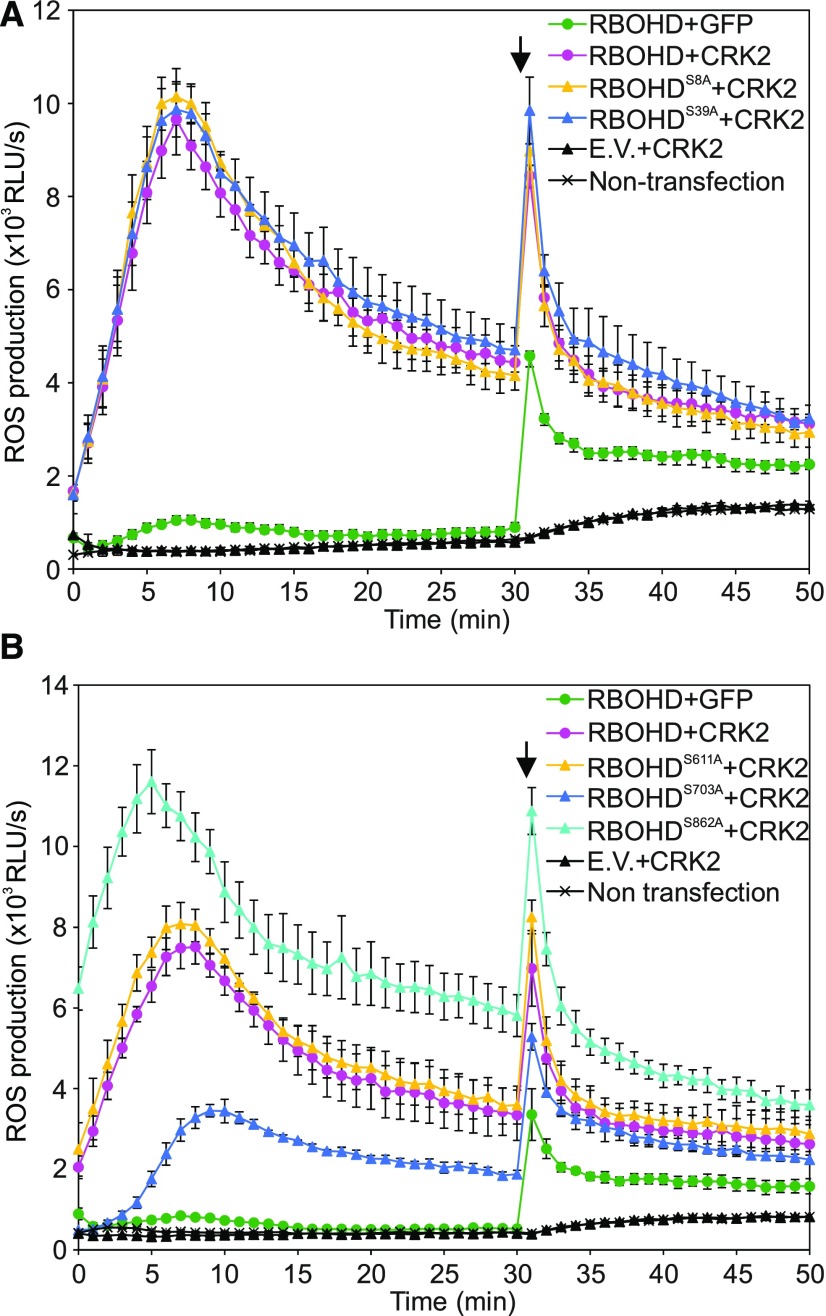 Figure 5.