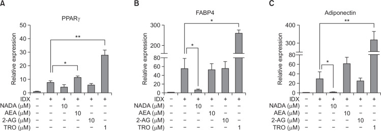 Fig. 3.