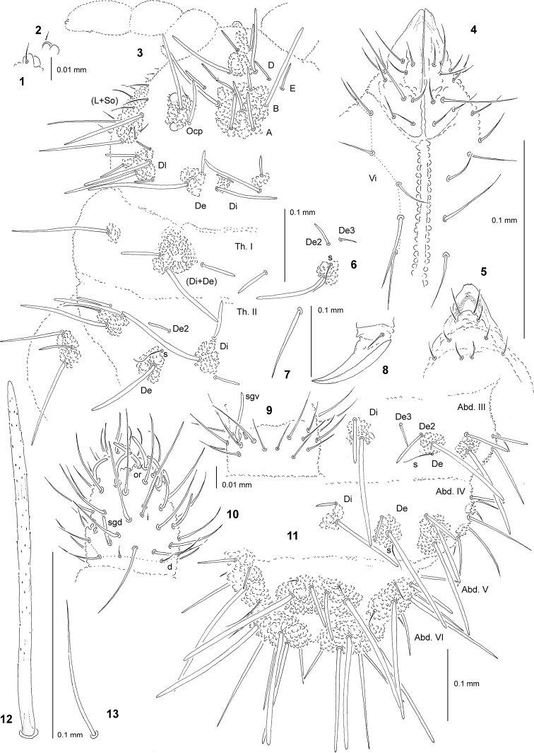 Figures 1–13.