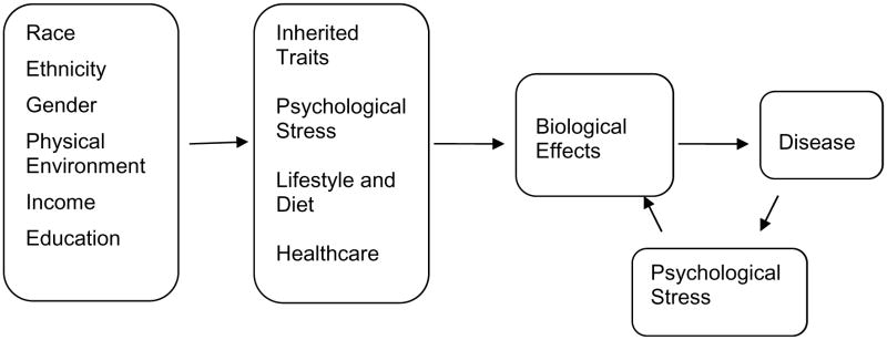 Fig. (1)